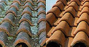 Perche Beky : Traitement des toitures